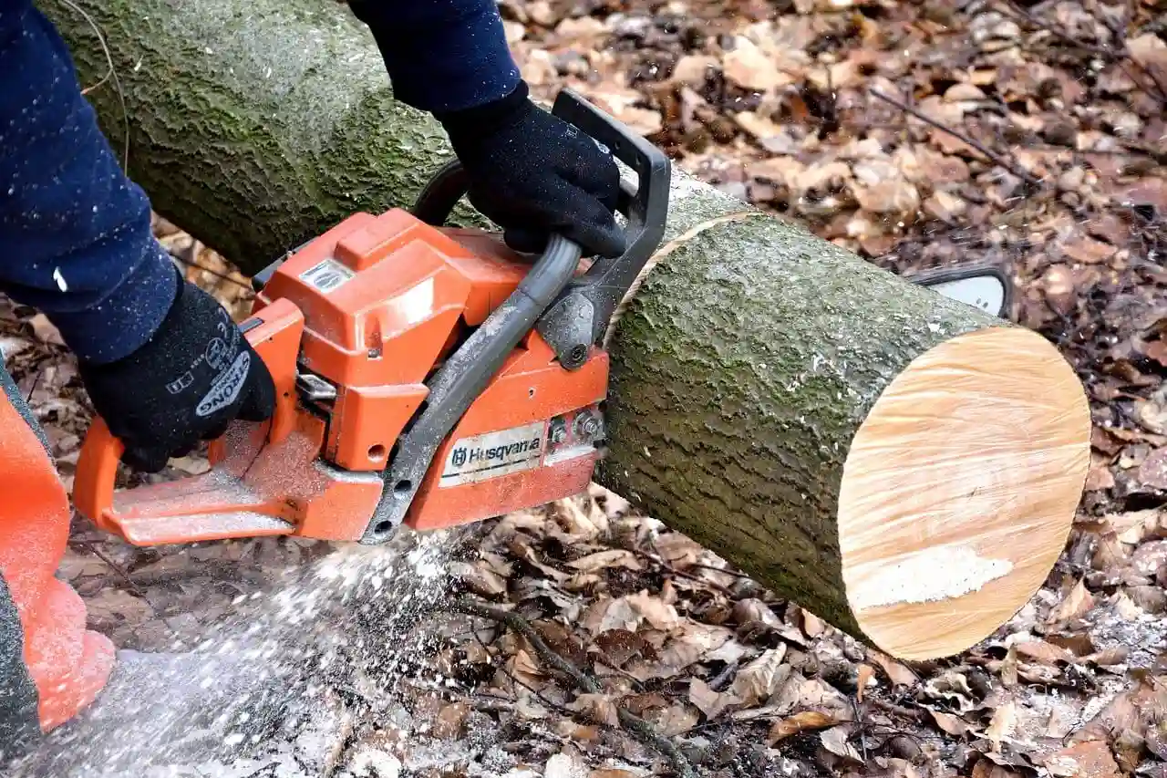 tree-cutting-trimming-removal-1