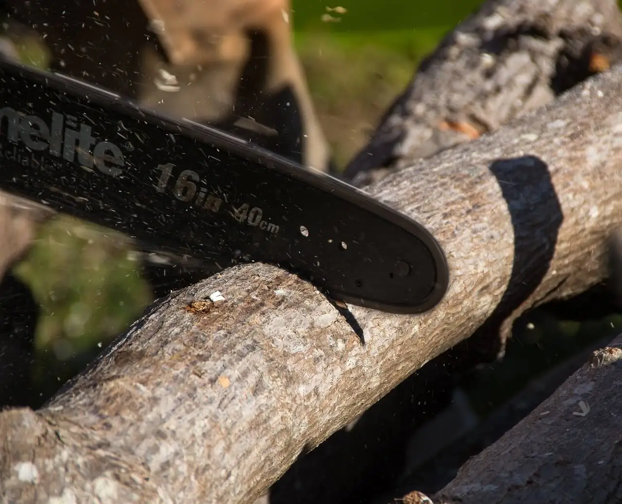 tree-cutting-trimming-removal-3